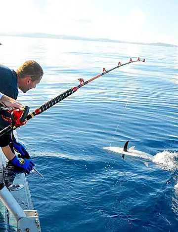 Los Sueños & Jacó Fishing Report – July 1–15, 2026