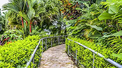 2026 Guide: How to Get Around in Manuel Antonio - The Best Transportation Options