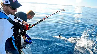 Los Sueños & Jacó Fishing Report – July 1–15, 2026