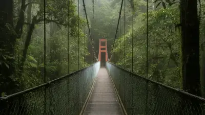 Why Is the Monteverde Cloud Forest so Famous?