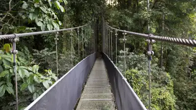 The Ultimate Guide to Jacó, Costa Rica 2026: Adventure, Nature & Luxury