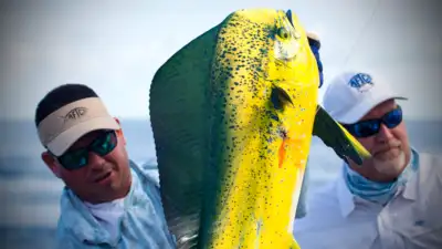 Los Sueños & Jacó Fishing Report – June 1–15, 2026