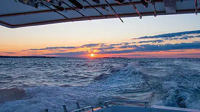 January 1, 2026 Fishing Report