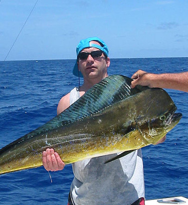 Mahi Mahi caught by a man