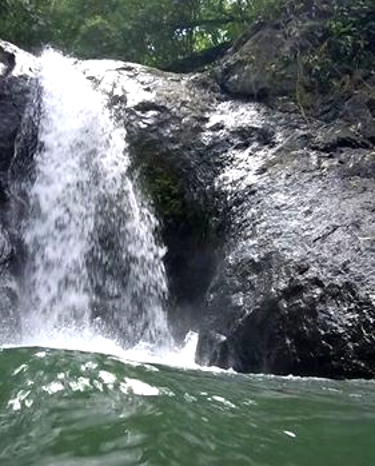 waterfall in a tropical forest