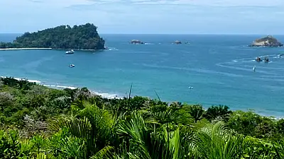 Meet the Wildlife Stars of Manuel Antonio National Park