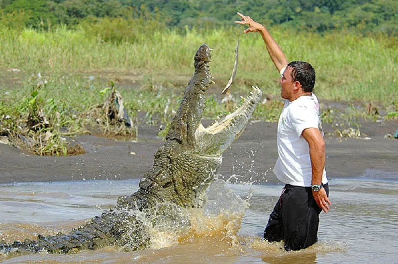 Costa Rica Crocodile Tour Jaco Beach Los Suenos Adventure Tours5