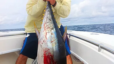Tuna Fishing Month