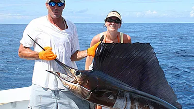 Sailfish bite: A record year.