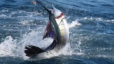 March 1, 2024 Fishing Report