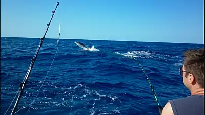 Los Sueños Fishing Report – May 1, 2025