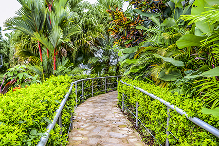 2026 Guide: How to Get Around in Manuel Antonio - The Best Transportation Options