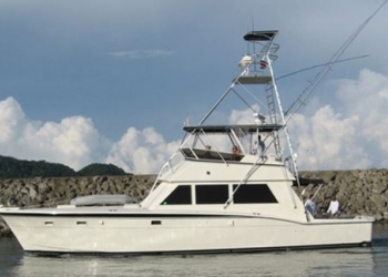 Los Sueños Fishing Report: February 2026 Forecast & Top Charters