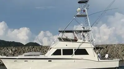 Los Sueños Fishing Report: February 2026 Forecast & Top Charters