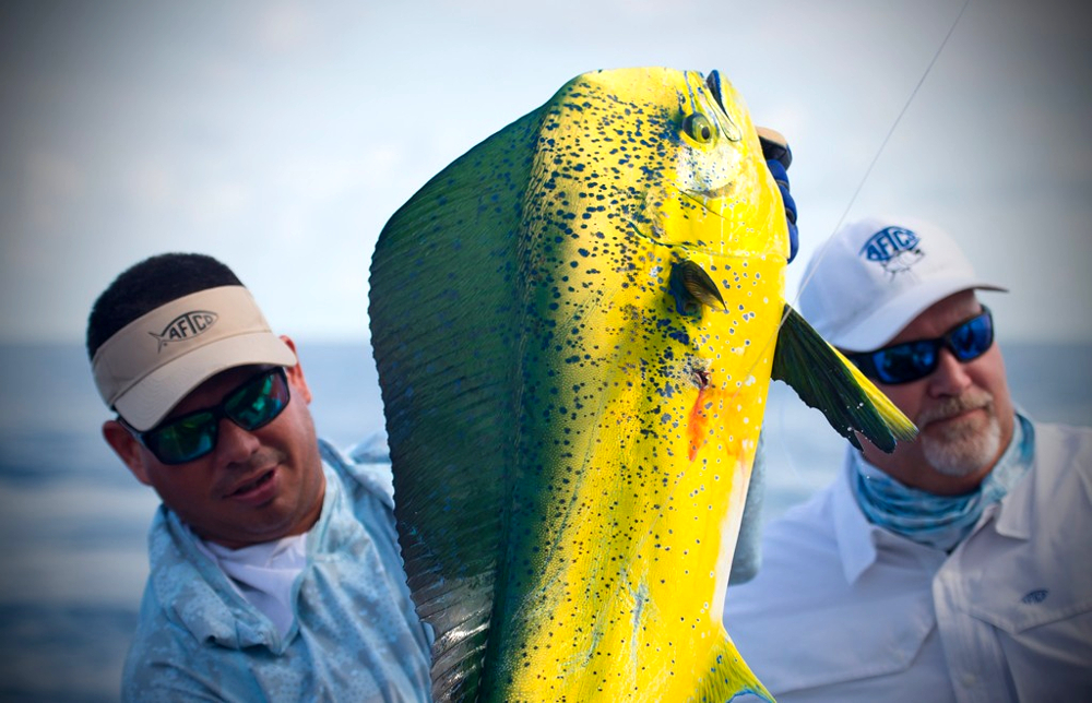 Los Sueños & Jacó Fishing Report – June 1–15, 2026