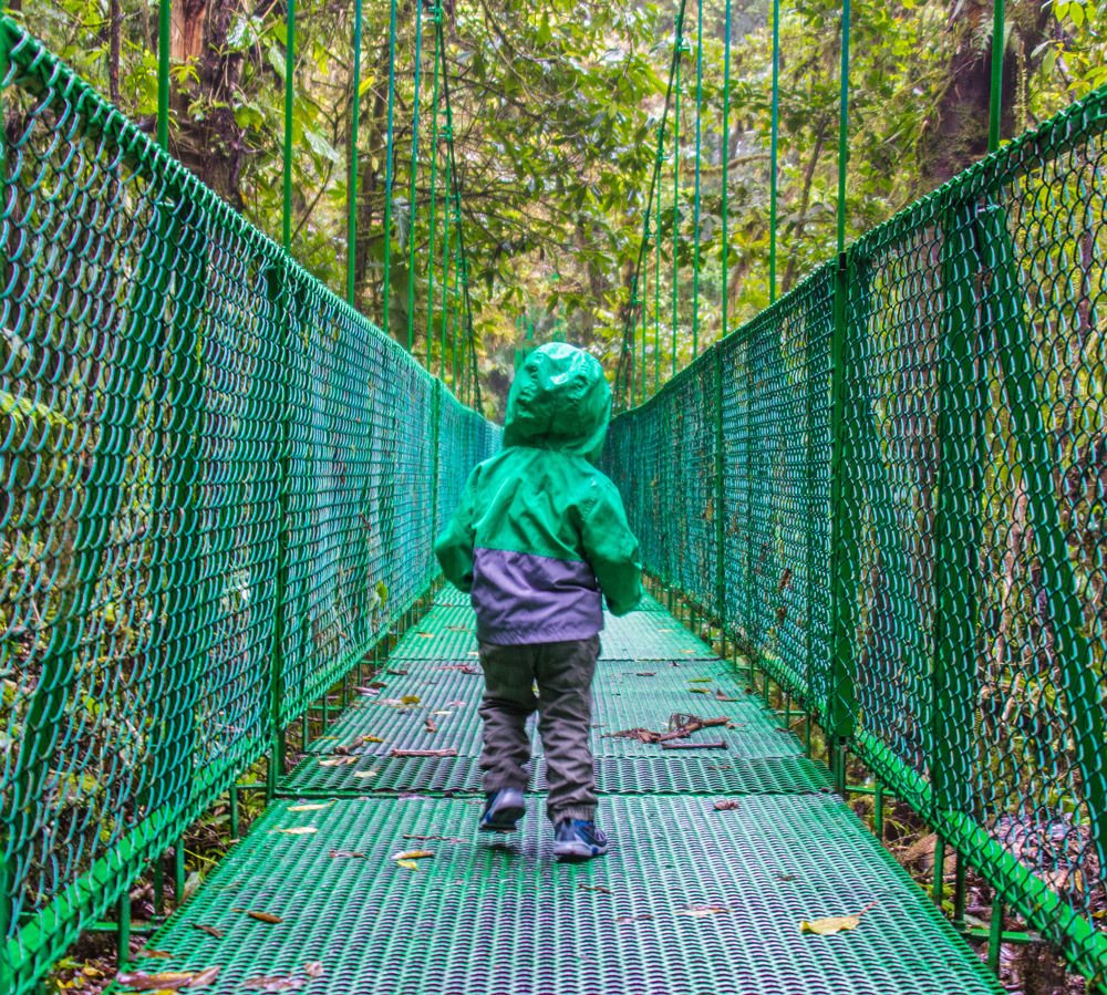 Hanging Bridges at Monteverde