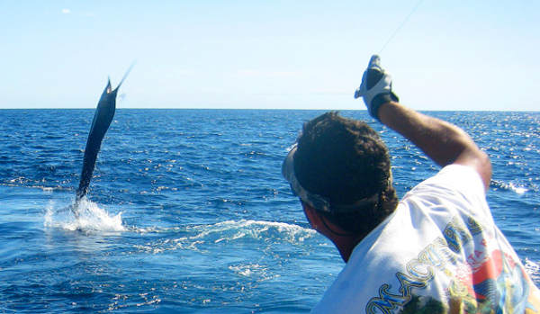 Los Sueños & Jaco Fishing Report: October 15, 2025 - What's Biting?