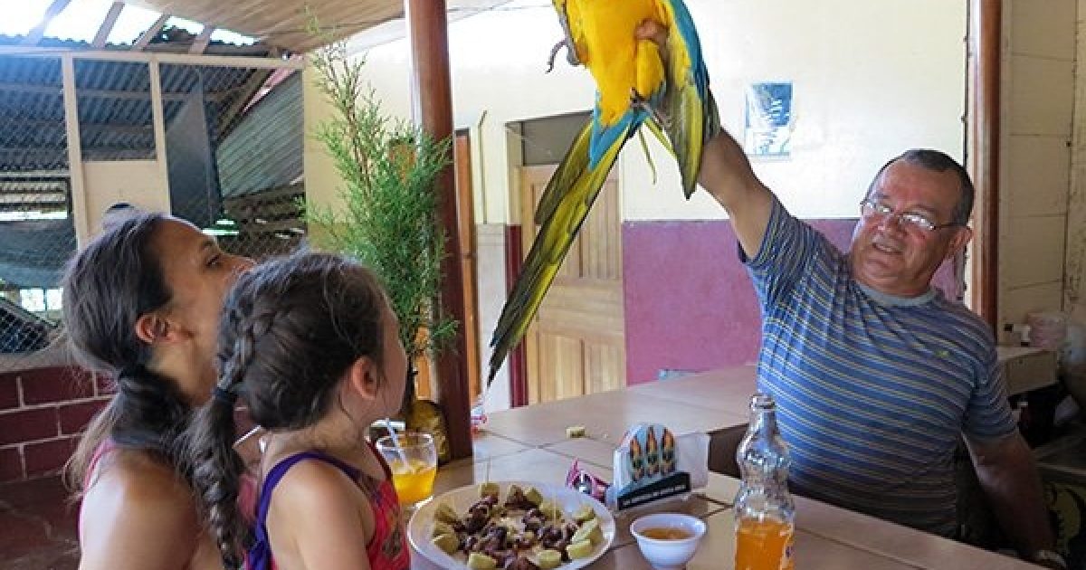 Kid Friendly Vacation, Tours & Adventures in Costa Rica