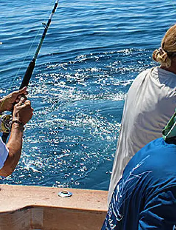 The 2026 Verano Season Outlook