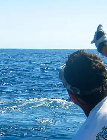 Los Sueños & Jaco Fishing Report: October 15, 2025 - What's Biting?