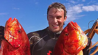 Jacó Tours for Every Group: A Guide to Solo, Family & Corporate Charters