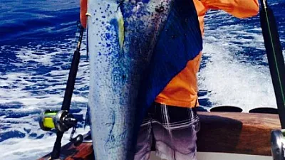 Calm Flat and Fertile Ocean