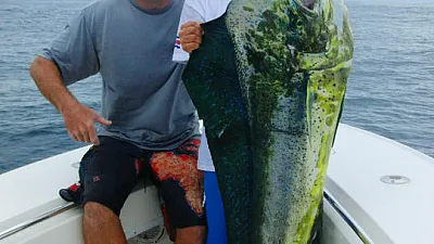 The offshore bite stand strong.