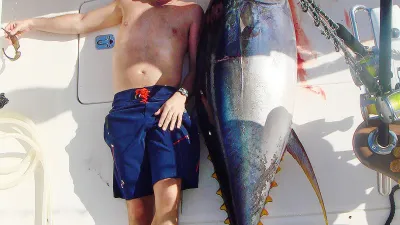 Great Numbers In Green Season