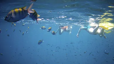 Discover the Incredible Islands of Costa Rica