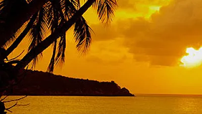 Tours Jaco: The Very Best Of Adventure And R&R