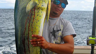 Getting the bite, regardless how far.