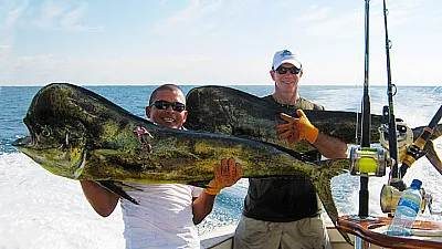 Signs of High Season