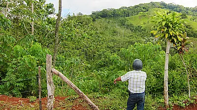Rainforest Tours Costa Rica