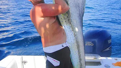 Slow season for tourism, not for the bite.