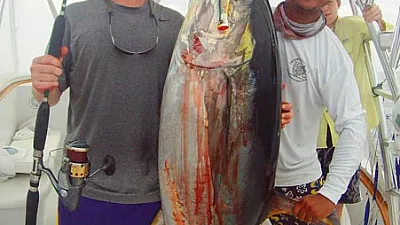 One of the best sailfish months over the past few years.