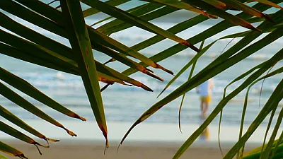 Exploring Just Outside Jaco