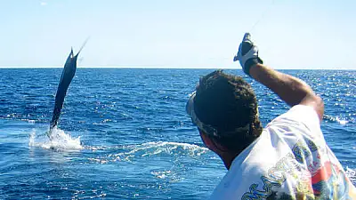 Los Sueños & Jaco Fishing Report: October 15, 2025 - What's Biting?