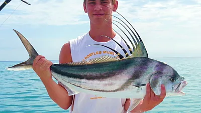 Pez Vela, Atún de Aleta Amarilla y Pez Gallo