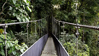 Three Hidden Treasures Near Jacó, Costa Rica