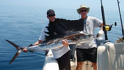 Sailfish Surge as Green Season Goes