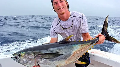 La Pesca del Atún de Aleta Amarilla Aumenta Mientras que la Sierra Golfina Disminuye