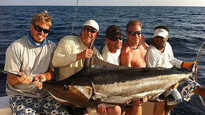 Red hot marlin fishing expected for this late November.