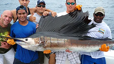 Marlins - Black & Blue