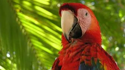 A Park Paradise: Manuel Antonio National Park