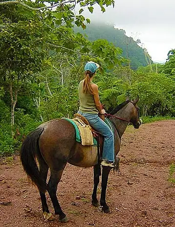 Jaco horseback riding