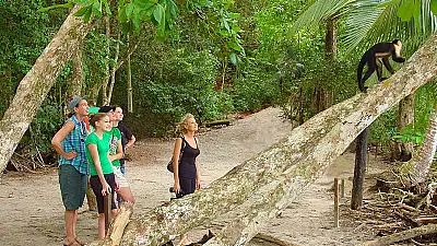 Why a Guide is Essential for Manuel Antonio National Park in 2026