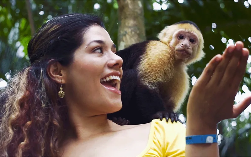 Wildlife Manuel Antonio