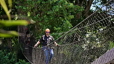Walking on Clouds: A Guide to Monteverde's Hanging Bridges