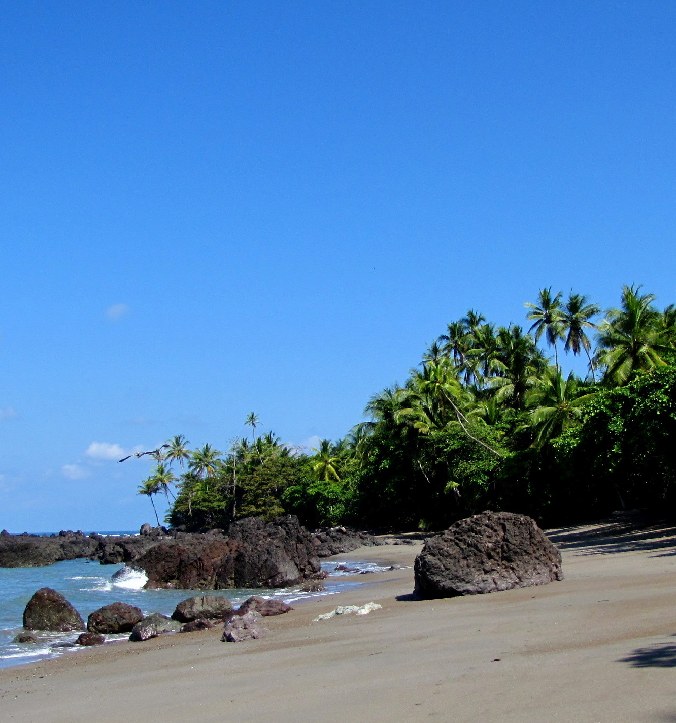 Corcovado National Park