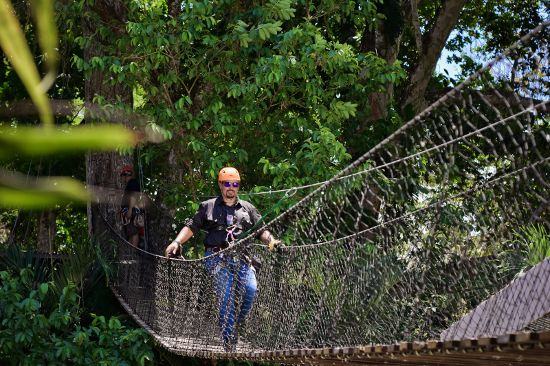 Walking on Clouds: A Guide to Monteverde's Hanging Bridges